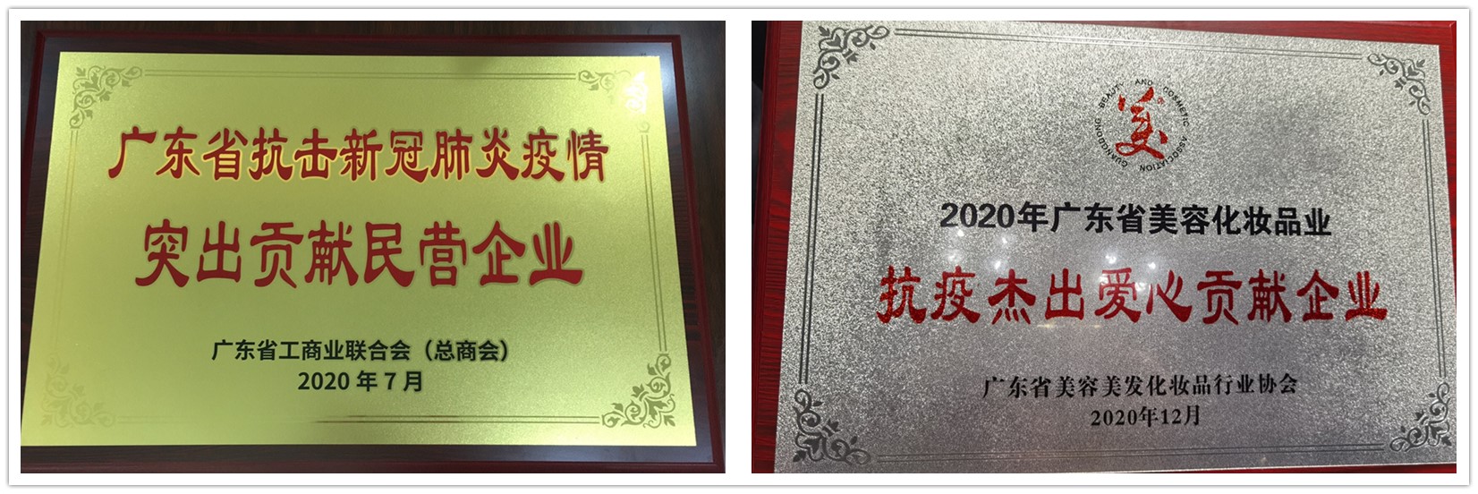 2020年廣東省抗擊新冠肺炎疫情突出貢獻(xiàn)民營(yíng)企業(yè)牌匾-廣東省工商業(yè)聯(lián)合會(huì)_副本.jpg